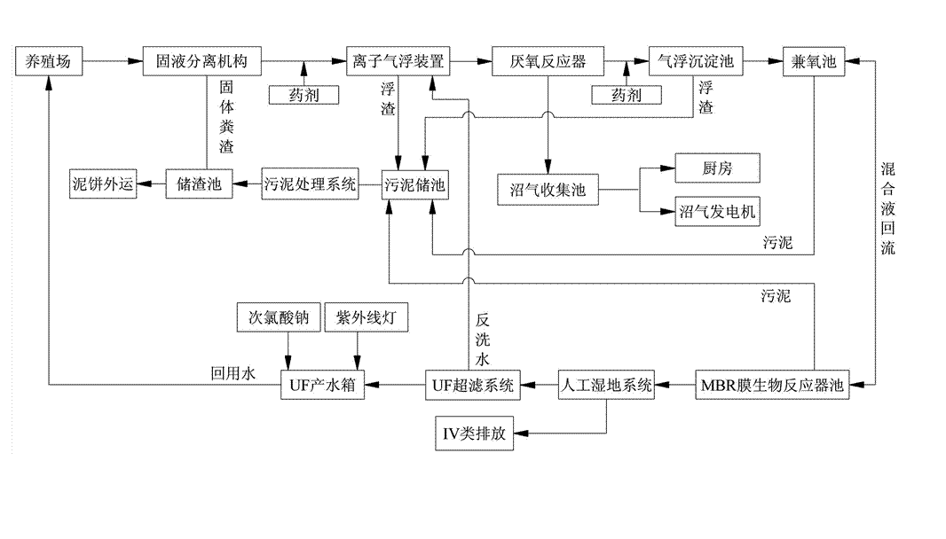 農(nóng)村養(yǎng)殖戶如何低成本有效處理污水，這兩種做法你應(yīng)該知道!02