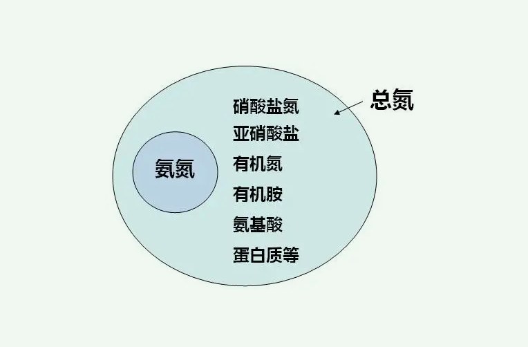 氨氮和總氮的關(guān)系是什么（什么是氨氮什么是總氮）