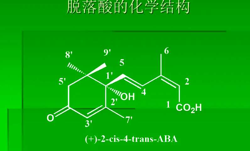 脫落酸的作用和使用方法（脫落酸的作用機制和原理介紹）