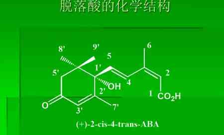 脫落酸的作用和使用方法（脫落酸的作用機(jī)制和原理介紹）